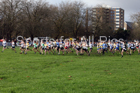 Boys under-13s 2017 British Athletics Liverpool Cross Challenge, Sefton Park, Liverpool. Photo:  David T. Hewitson/Sports for All Pics
